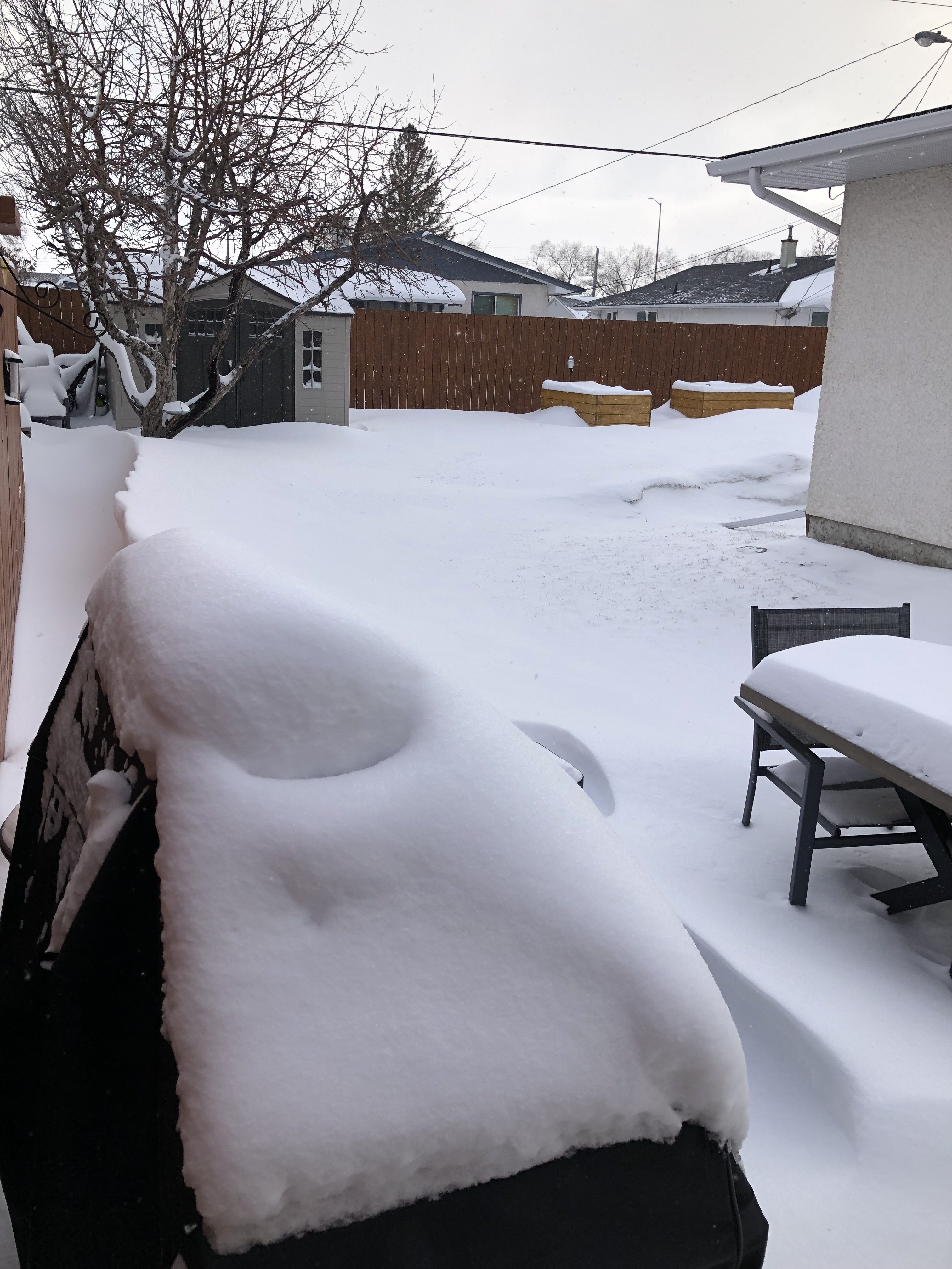 Biggest Winter Storm In Decades?