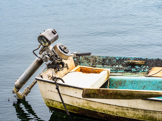 Vancouver Island Trip – Day Eleven