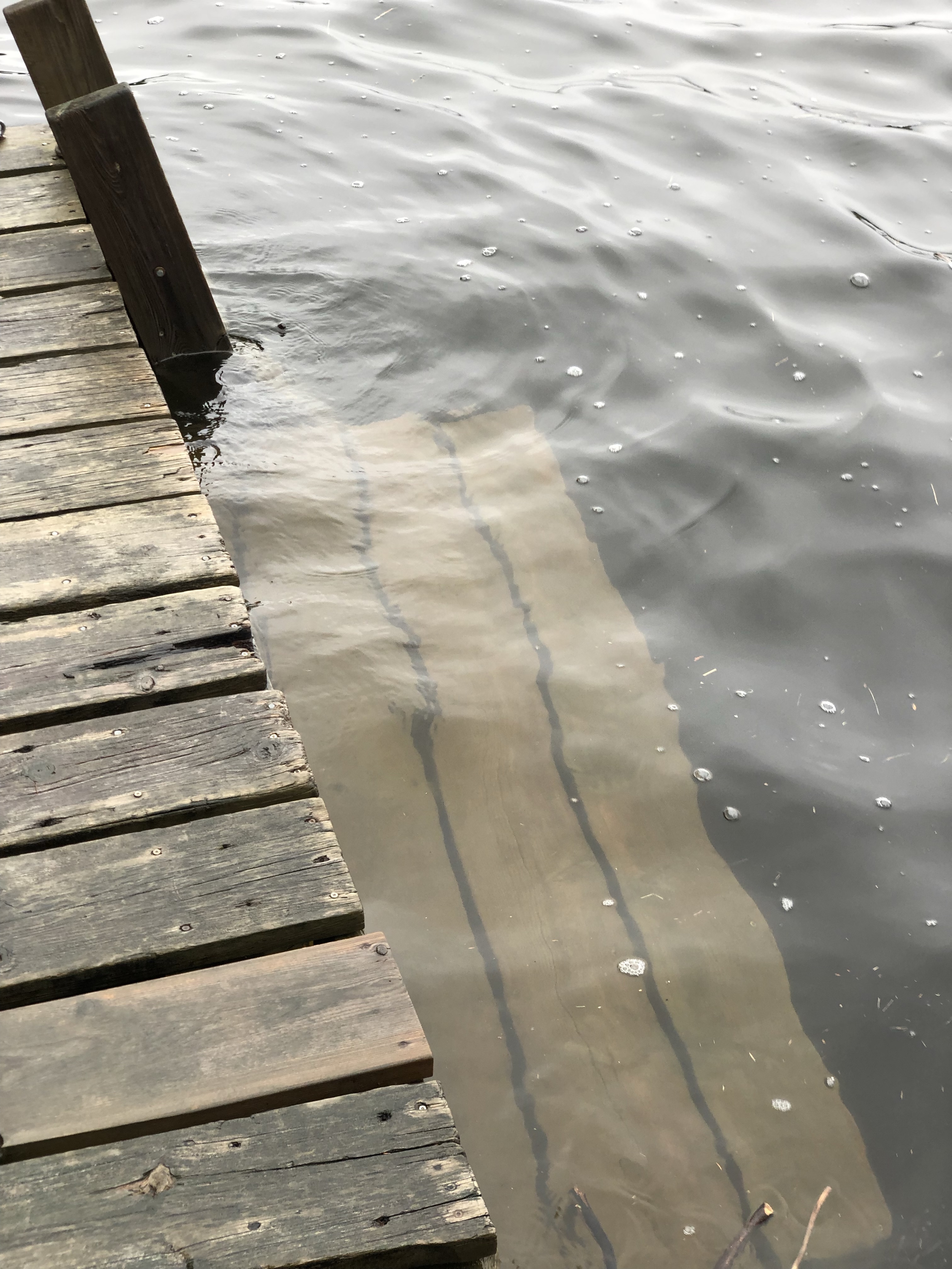 Lake Levels: What does it mean to me
