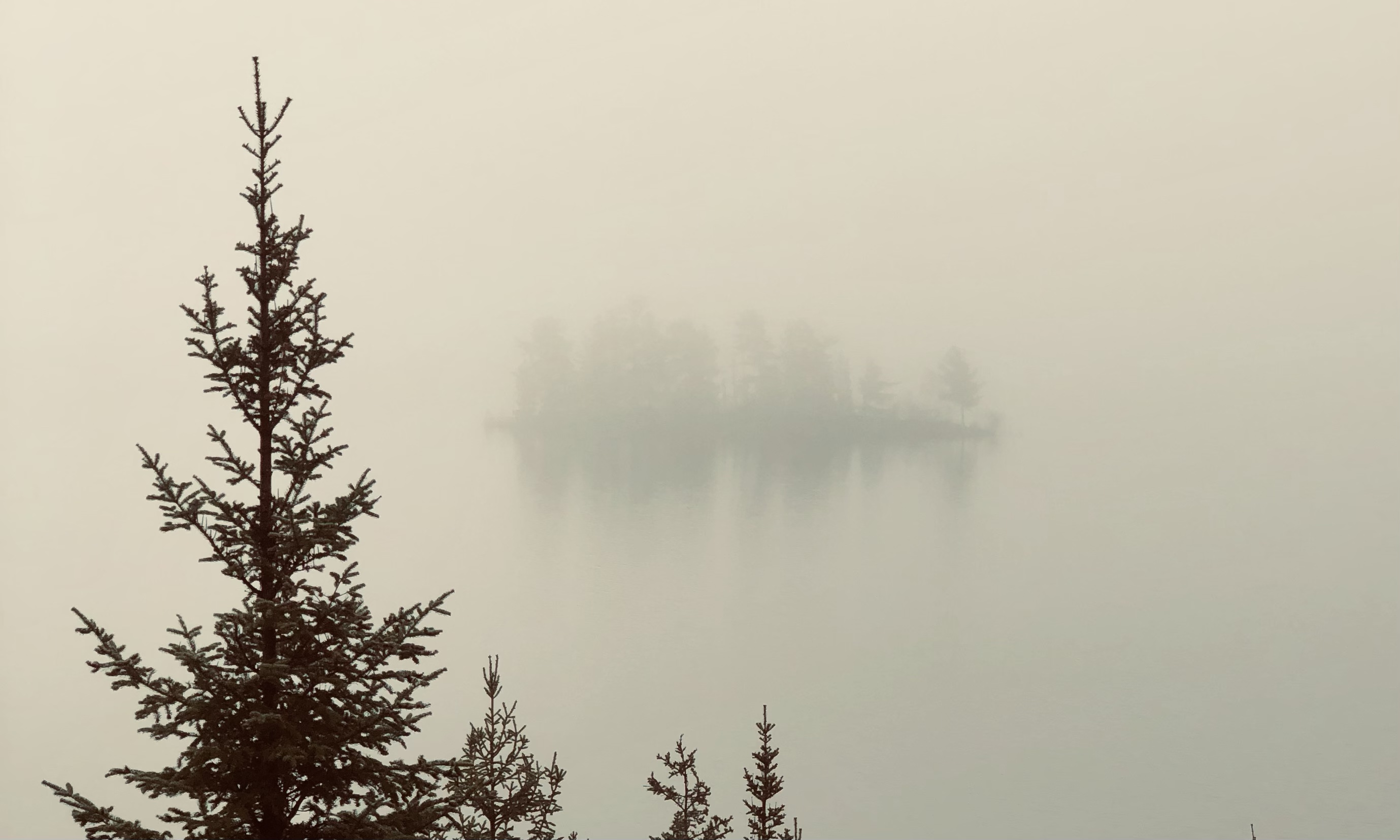 Cottage Opening 2022 – Part 1