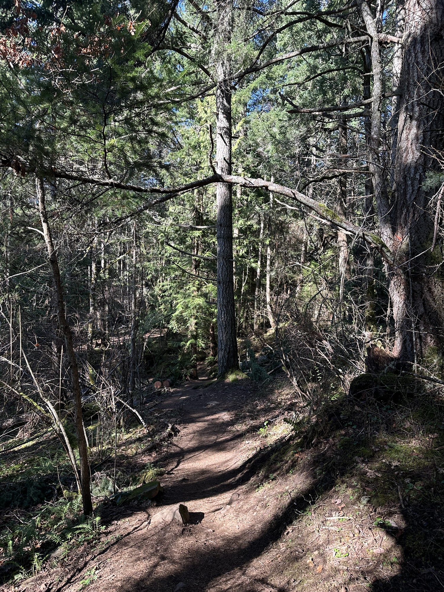 Vancouver Island Trip – Day Four